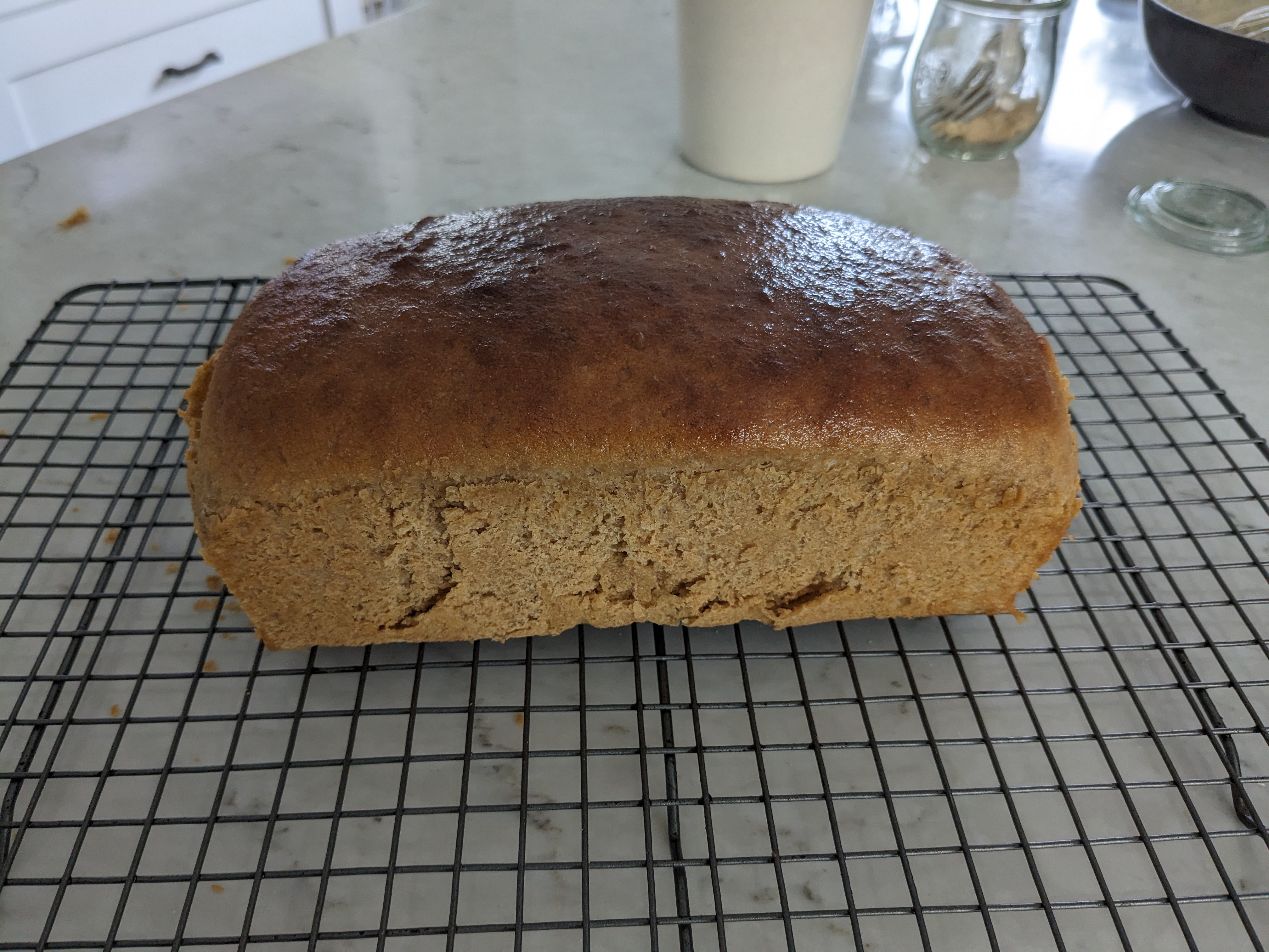Whole Wheat Bread